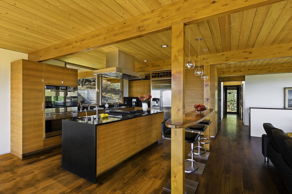 Mid-Century-Modern-Residence-04