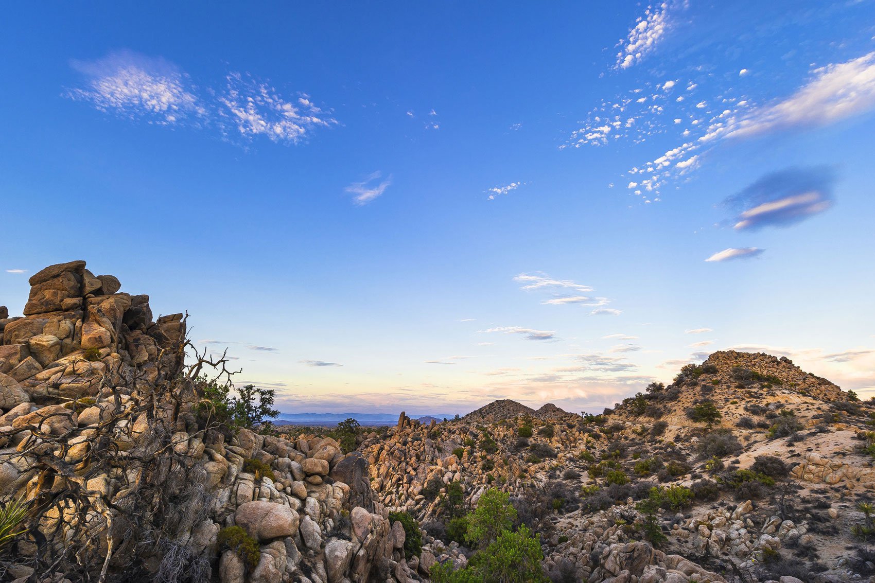 Yucca-Valley-House-3-01