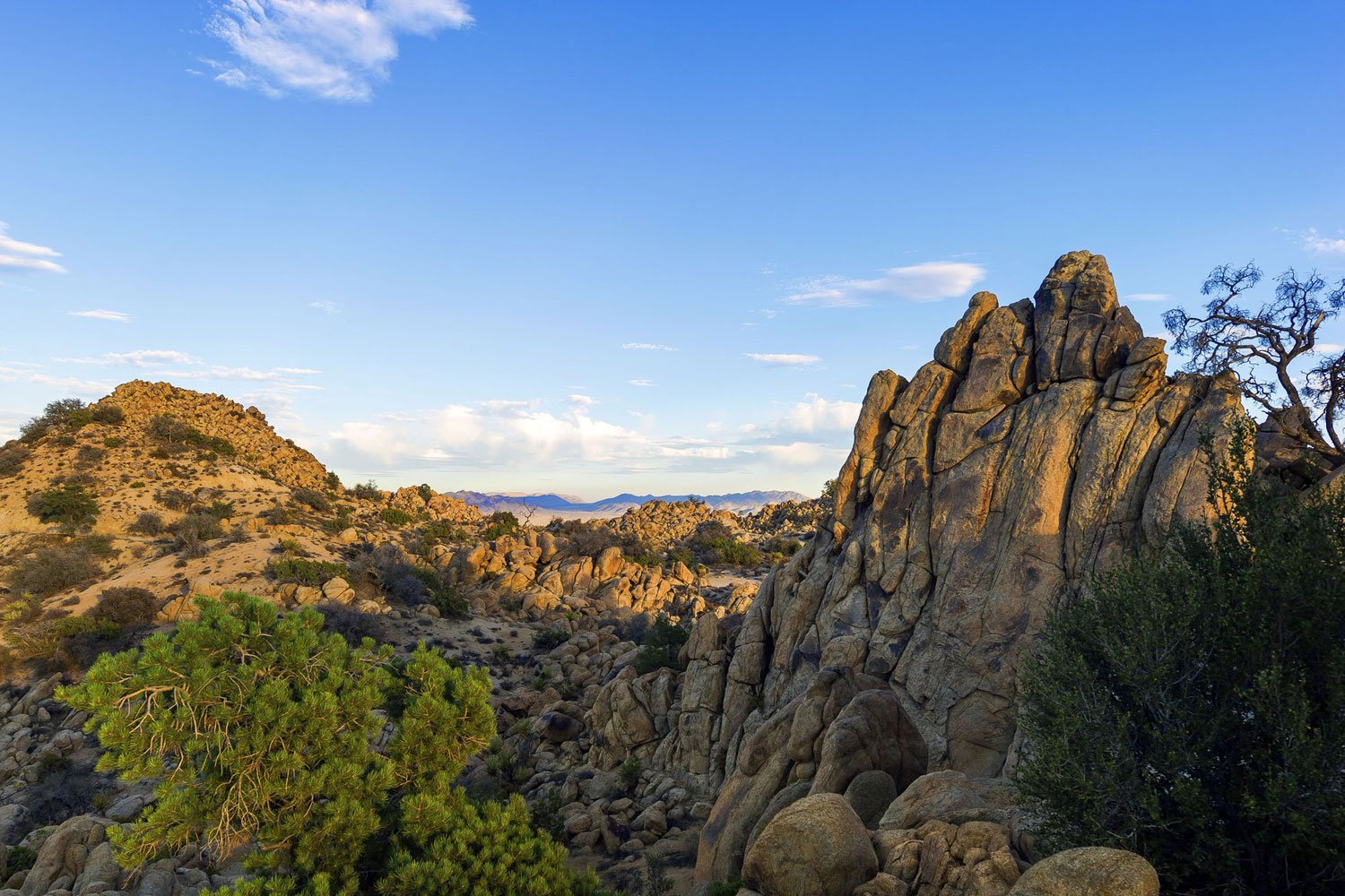 Yucca-Valley-House-3-02
