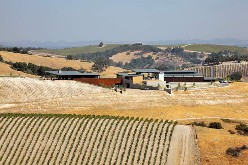 Law Winery by BAR Architects-15
