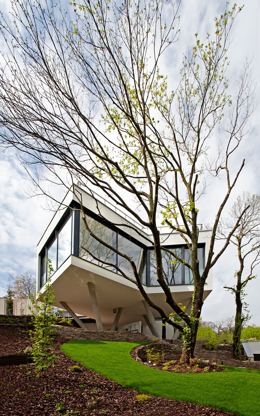 House Between The Trees Inspired From the Legendary Tugendhat Villa By Architekti Šebo Lichý-01