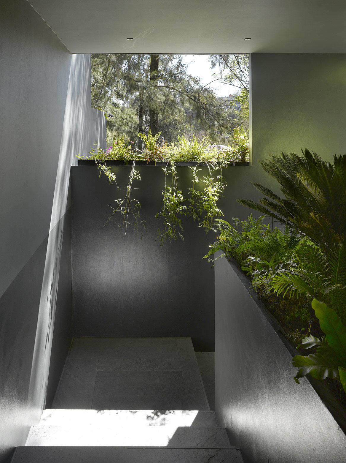 Modern Barrancas House in Mexico City by EZEQUIELFARCA architecture and design-14