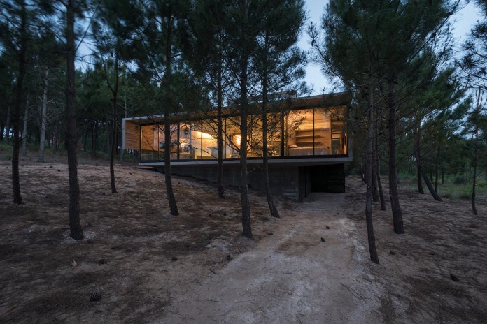 luciano-kruk-design-l4-house-located-pine-forest-near-sea-06