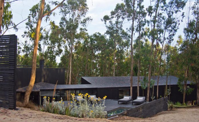 alfredo-comandari-design-aguas-claras-house-located-midst-eucalyptus-forestp-02