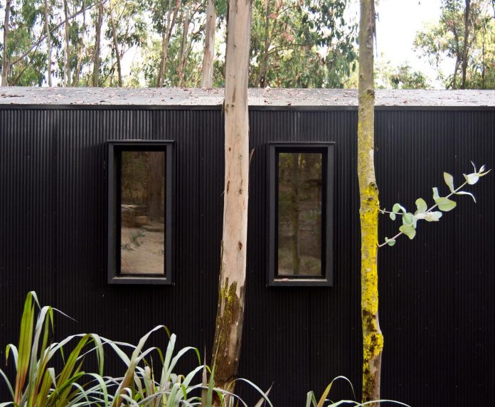 alfredo-comandari-design-aguas-claras-house-located-midst-eucalyptus-forestp-07