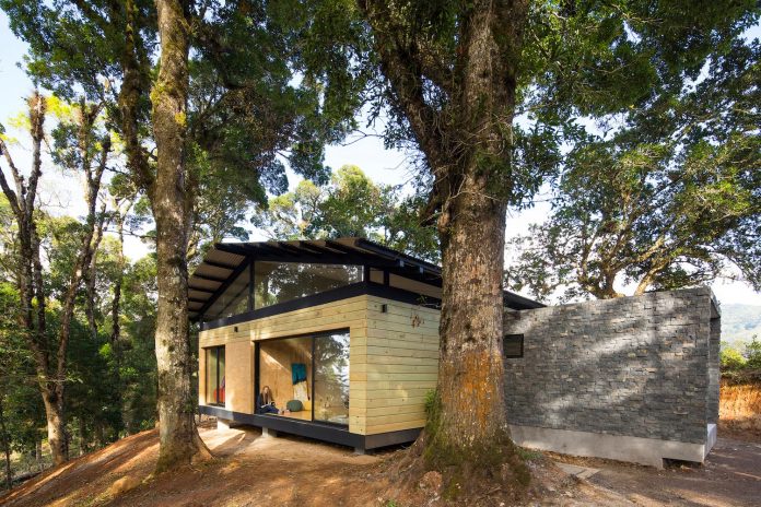 efc-contemporary-cabin-small-forest-oak-trees-designed-void-10