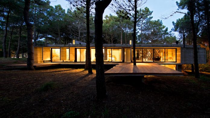 concrete-valeria-house-lush-vegetation-crossed-tall-dunes-designed-luciano-kruk-maria-victoria-besonias-03