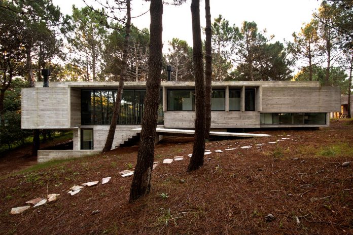 concrete-valeria-house-lush-vegetation-crossed-tall-dunes-designed-luciano-kruk-maria-victoria-besonias-10