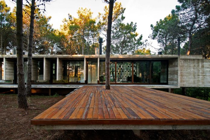 concrete-valeria-house-lush-vegetation-crossed-tall-dunes-designed-luciano-kruk-maria-victoria-besonias-12