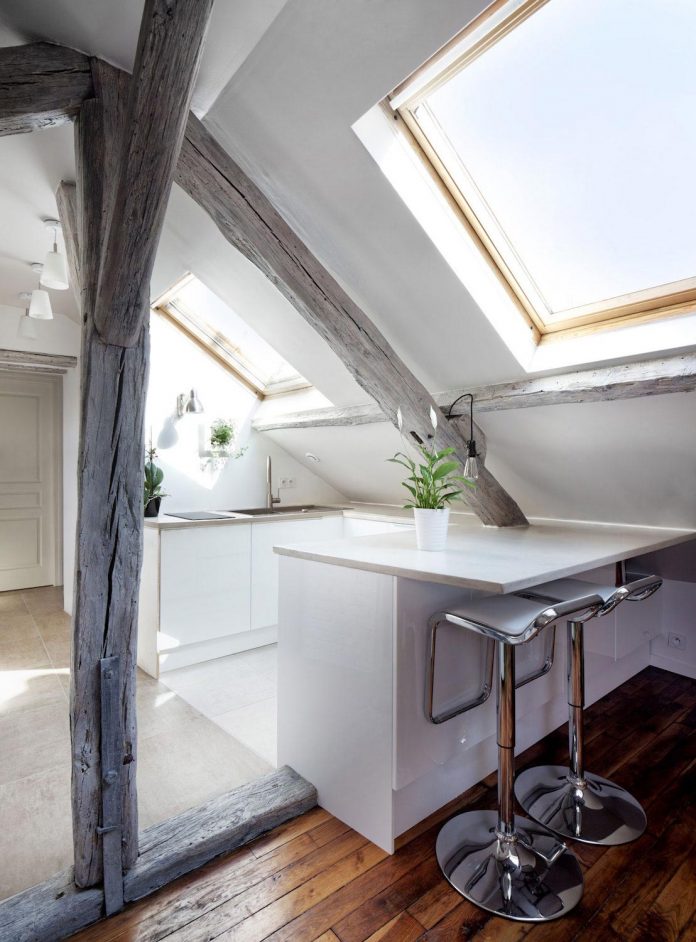 rustic-contemporary-living-roof-loft-ivry-sur-seine-paris-designed-prisca-pellerin-05