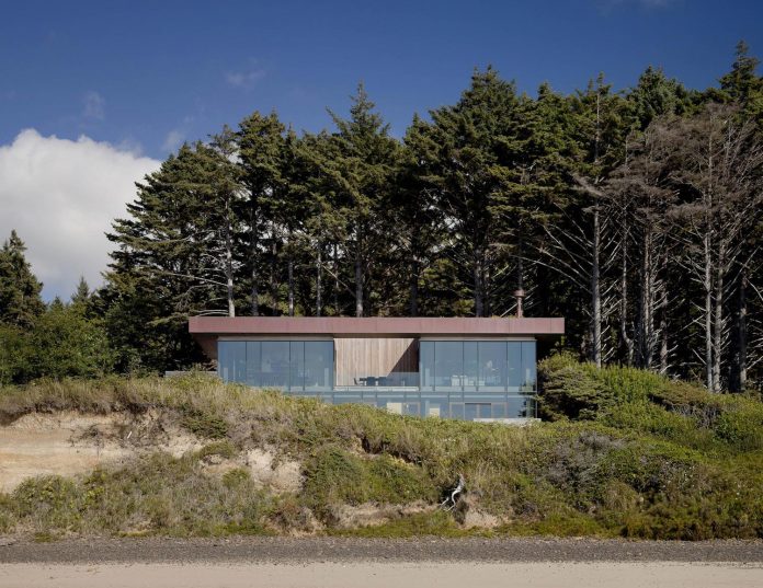 360-house-perched-beach-edge-tree-line-bora-architects-01