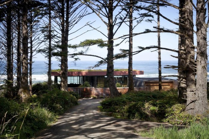 360-house-perched-beach-edge-tree-line-bora-architects-04