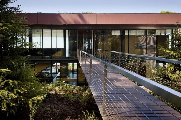 360-house-perched-beach-edge-tree-line-bora-architects-07