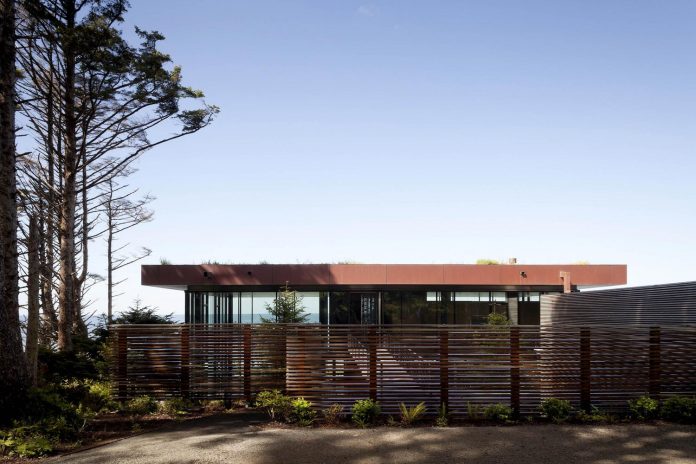 360-house-perched-beach-edge-tree-line-bora-architects-08