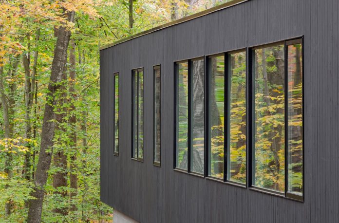 situ-studio-design-low-black-box-corbett-residence-settled-wooded-site-11