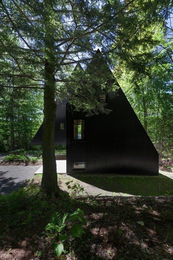 nestled-privacy-hemlock-forest-fahouse-presents-amazing-building-seems-emerge-childrens-story-02