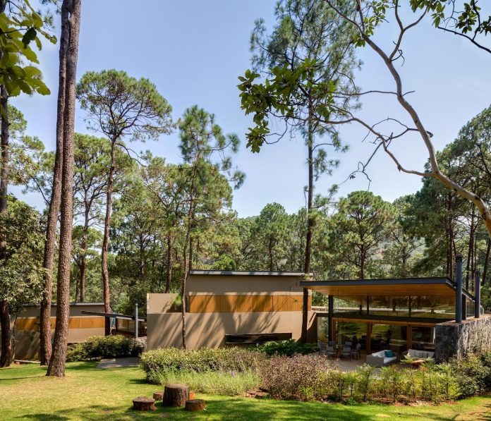 five-houses-project-dream-living-forest-dominated-ancient-pines-lush-vegetation-03