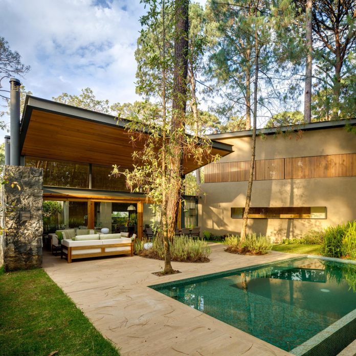 five-houses-project-dream-living-forest-dominated-ancient-pines-lush-vegetation-04