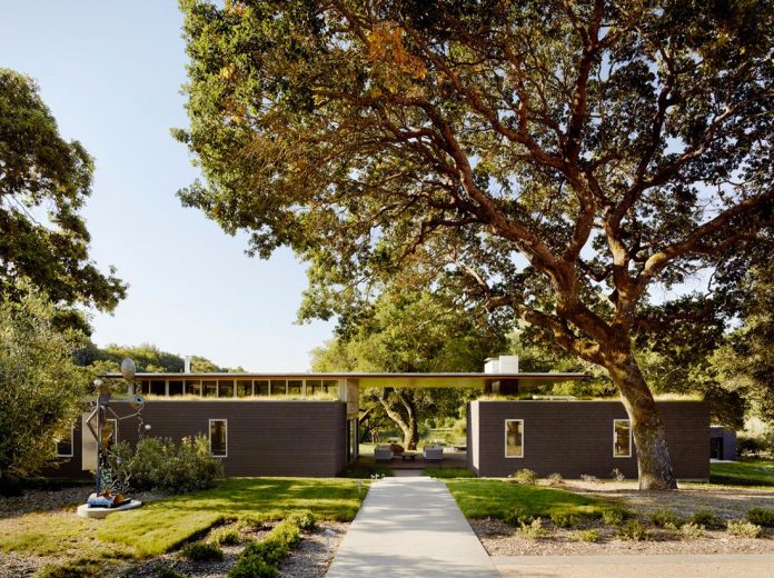 house-designed-outdoor-indoor-summer-living-meadow-dotted-site-magnificent-oaks-01