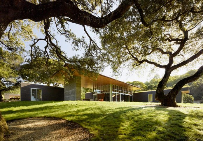 house-designed-outdoor-indoor-summer-living-meadow-dotted-site-magnificent-oaks-04