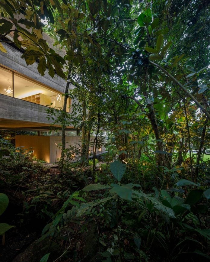 jungle-house-studiomk27-home-rain-forest-settled-mountainous-topography-dense-vegetation-41