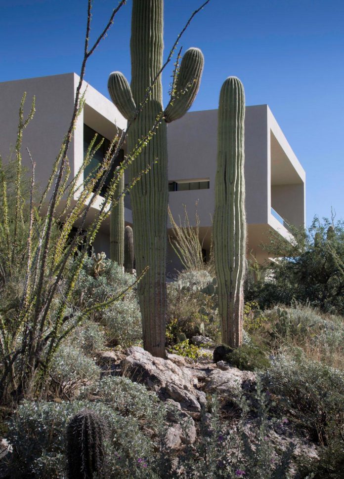 modern-minimal-home-pristine-box-seemed-landed-desert-foothills-tucson-arizona-05