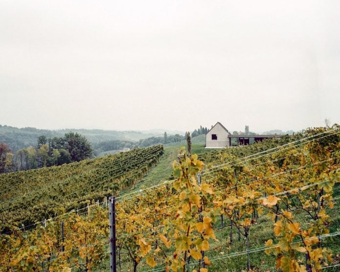 two-winegrowers-decided-make-old-vintners-house-retirement-home-01