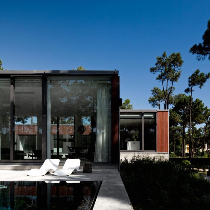 contemporary-residence-located-hexagonal-plot-dense-pine-forest-04