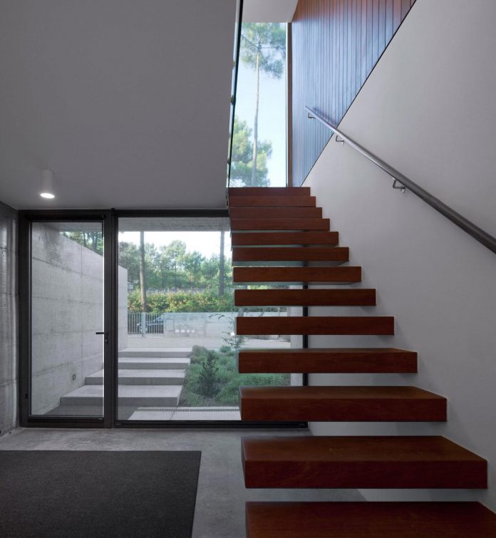 contemporary-residence-located-hexagonal-plot-dense-pine-forest-10