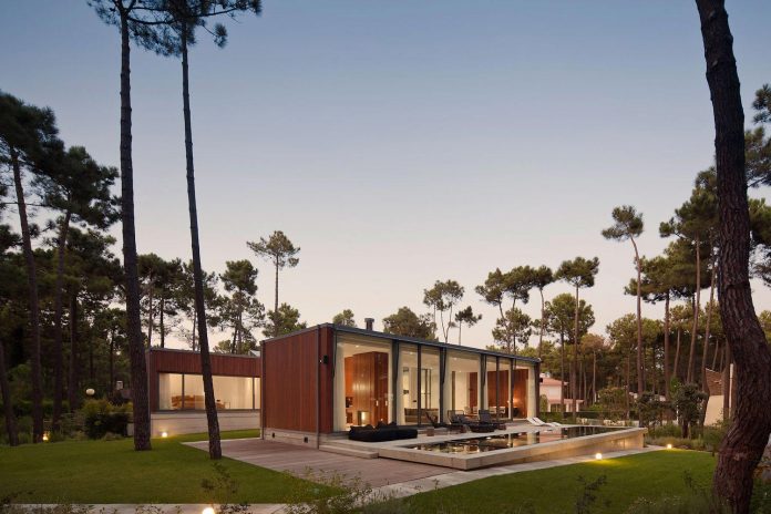 contemporary-residence-located-hexagonal-plot-dense-pine-forest-17