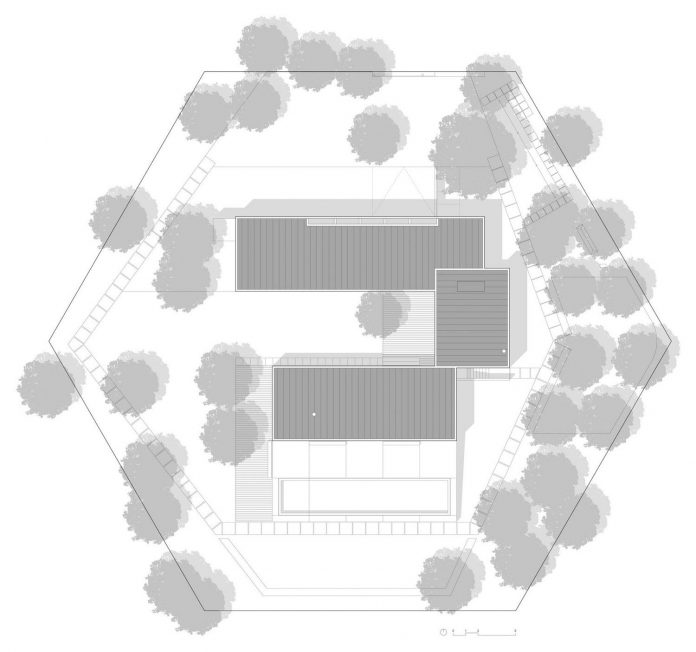 contemporary-residence-located-hexagonal-plot-dense-pine-forest-26