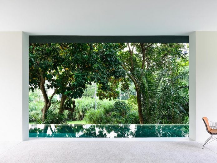 modern-home-design-focus-capturing-nature-alive-create-spectacular-vision-02