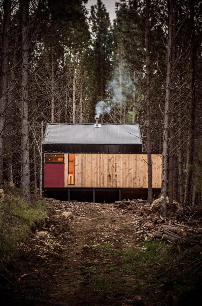 simple-pine-wooden-shed-includes-spacious-living-room-awesome-forrest-views-12
