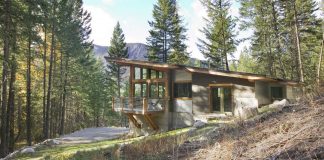 Wintergreen Cabin by Balance Associates
