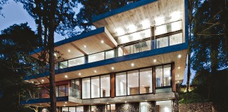 Corallo House, The House with a Tree in The Living Room by Paz Arquitectura
