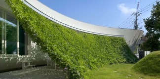 Green Screen House by Hideo Kumaki Architect Office
