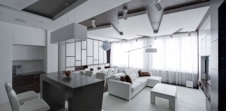 Apartment Renovation in Moscow by Vladimir Malashonok