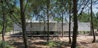 Luciano Kruk design the L4 House located in a pine forest near the sea