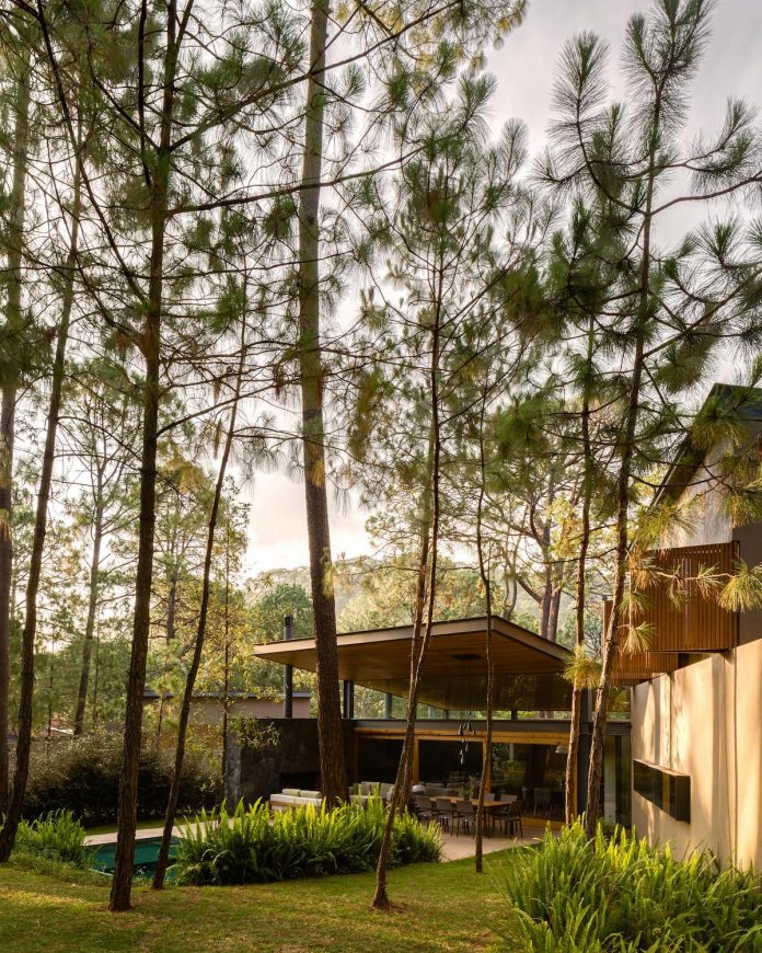 five-houses-project-dream-living-forest-dominated-ancient-pines-lush-vegetation-05