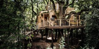 Luxurious two-storey treehouse in the Forests of West Dorset, England