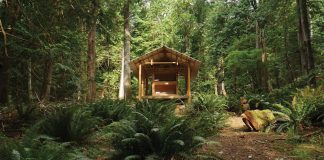 Off-the-grid cabin set in middle of an island’s rainforest only accessible by foot