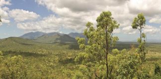 Considerations when looking to build or buy your dream green home