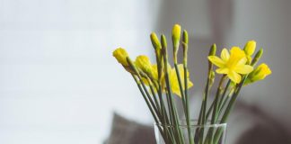Interior Makeover - 6 Ways To Improve Your Home's Look This Spring