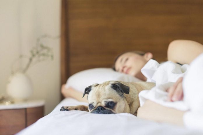 Bedroom Design Tips for a Better Night’s Sleep