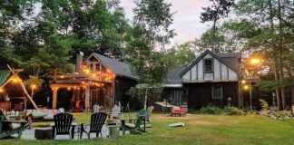Sustainable Landscaping Ideas for Your Backyard