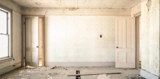 Pests That Will Mess Up Your Interiors