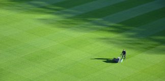 Effective Ways for a Greener, Healthier Lawn