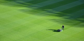 3 Inspired Lawn Care Trends to Update Your Home