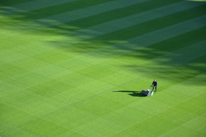 3 Inspired Lawn Care Trends to Update Your Home