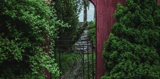 Why Should You Build a Garden Shed With a Porch?